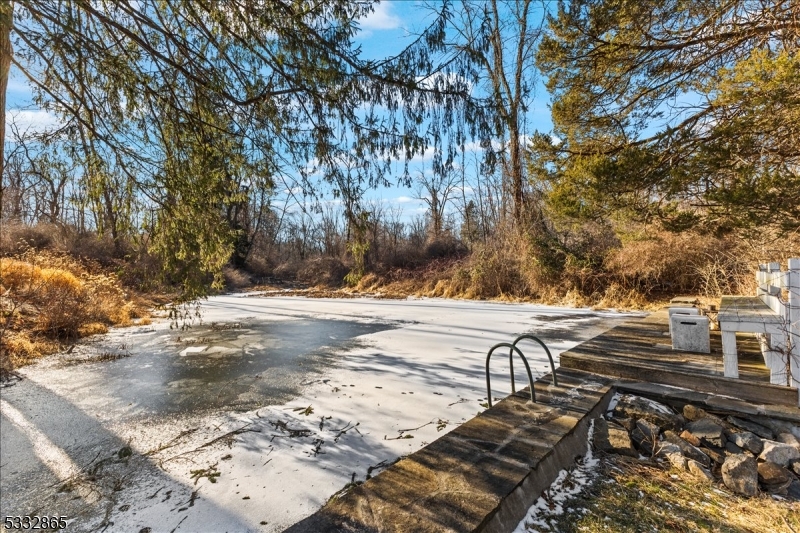 The pond in the winter
