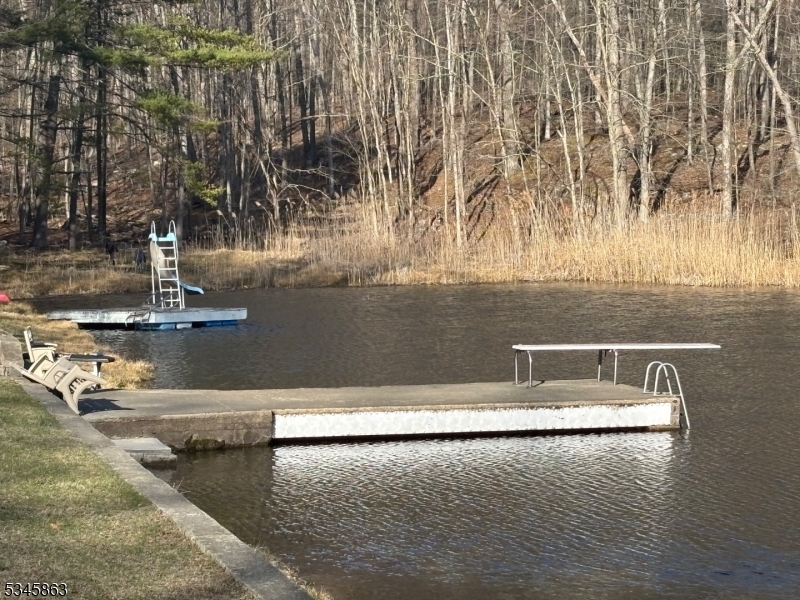 Lake with slide and dock