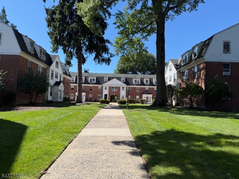 Front View