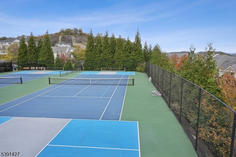 . Tennis anyone?  How about pickleball?