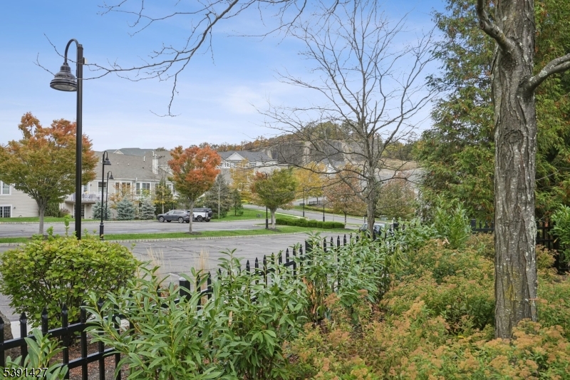 . The seasonal changes are so pretty.