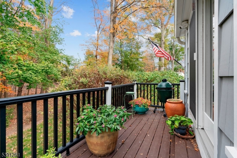 DECK FROM SUNROOM