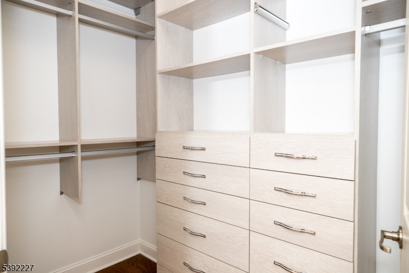 CALIFORNIA CLOSET IN MAIN BR 1