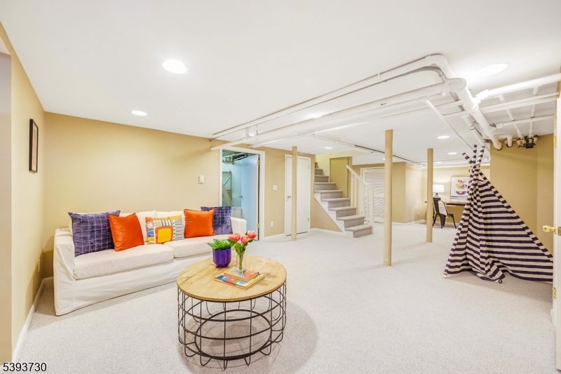 Recreation Room 20' x 14' New Carpet