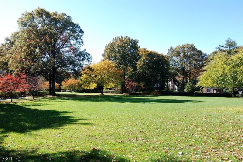 B Park in Fall