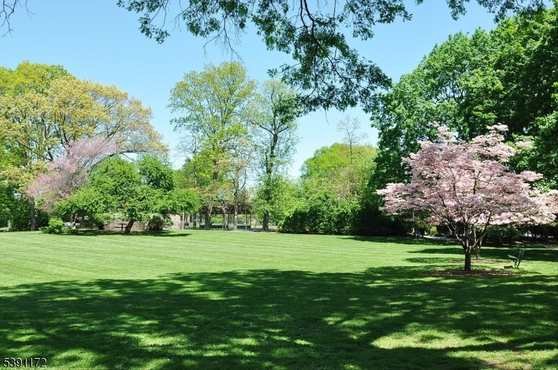 B Park in Spring