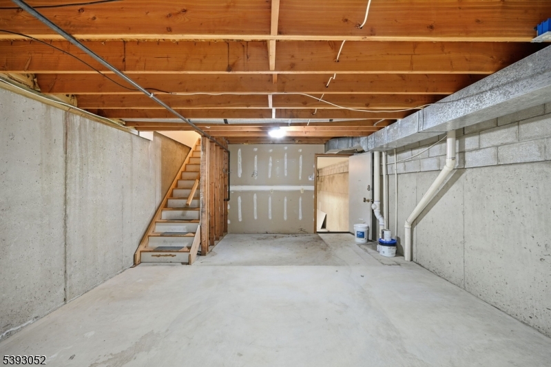Unfinished Basement