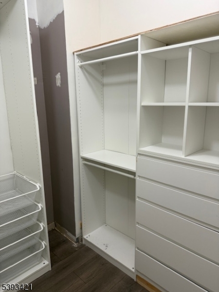 Master bedroom closet 2