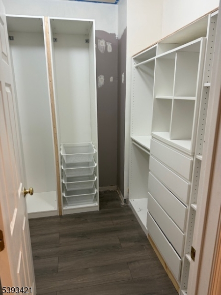 Master bedroom closet 3