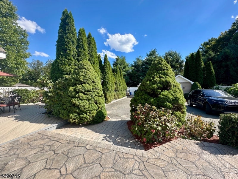 Patio/Driveway