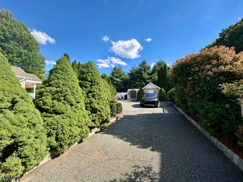 Driveway