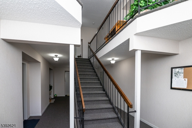 Interior Foyer of building Entry into building from main entrance
