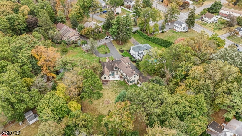 Drone View