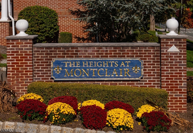 The Heights at Montclair