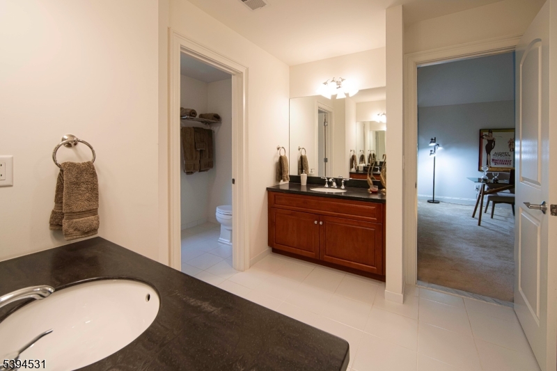 Jack and Jill Bathroom