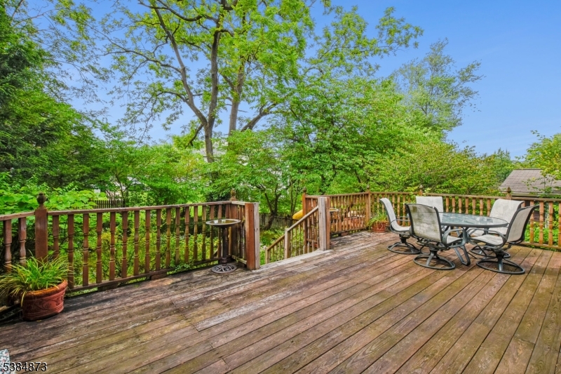 Deck spacious with access to gardens and lawn