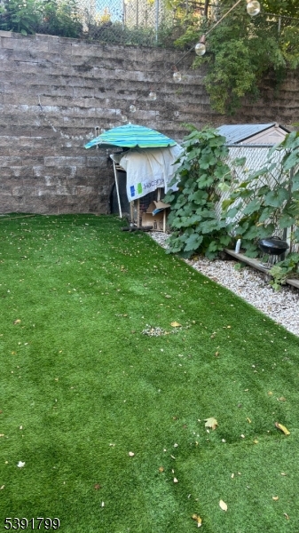 back yard