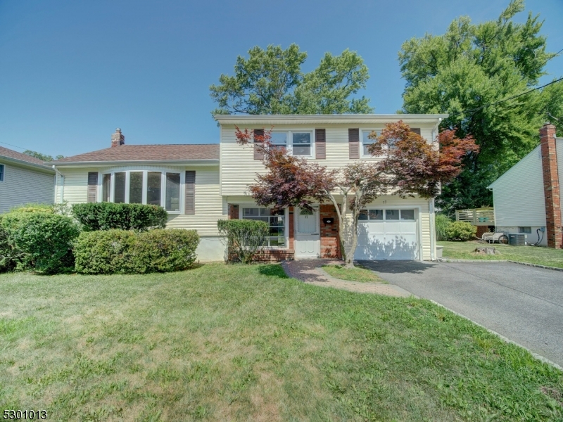 Sweet Split Level Photos from previous vacancy