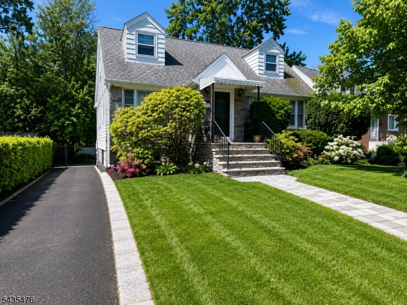 Front - Cape Cod