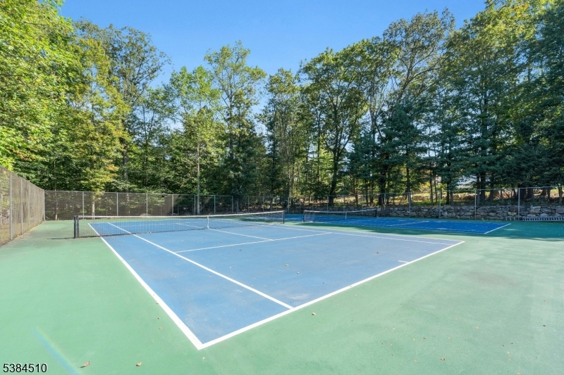 Tennis/Pickleball Courts