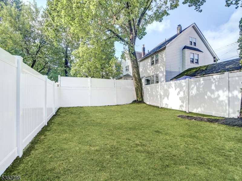 Backyard Grass Photoshop, new seeds planted