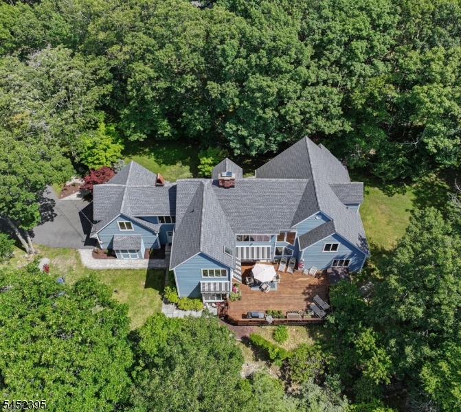 Aerial Rear View