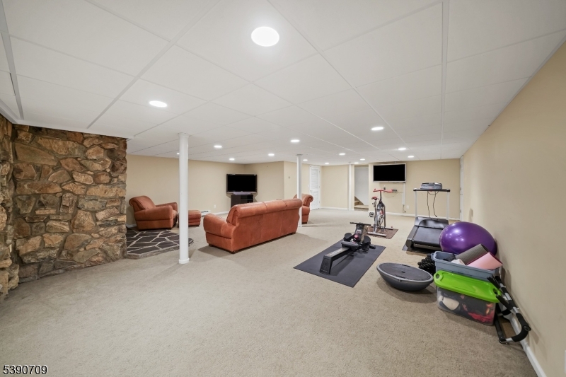 Recreation Room - Basement