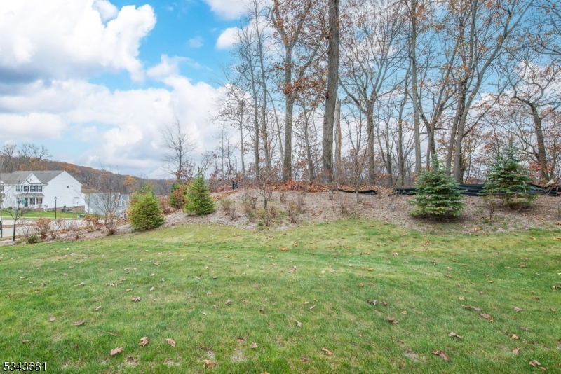 Backyard The backyard is now fully fenced with black metal and two gates.