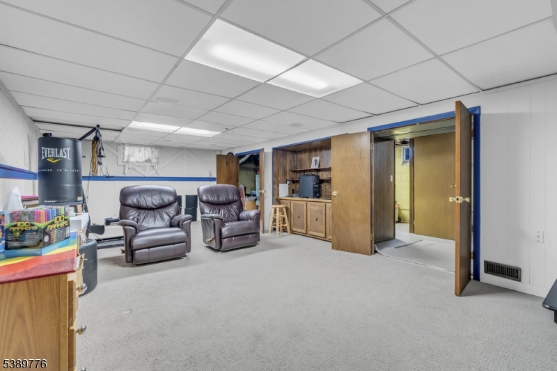 Basement Rec room