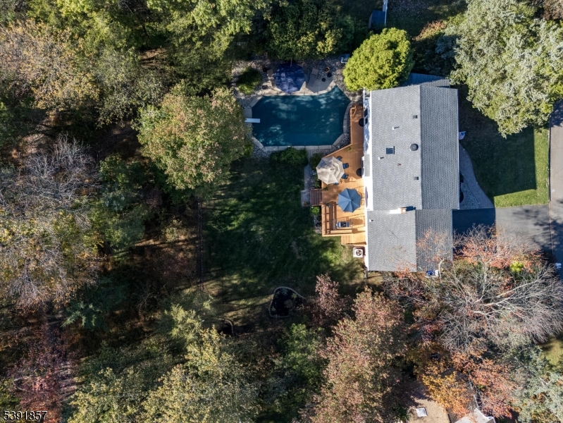 Aerial View of the Home & Yard