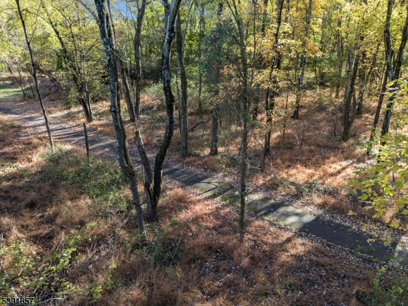 Walking Trail from Back Yard