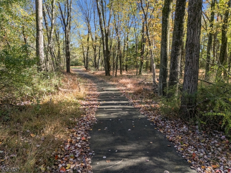 Walking Trail from Back Yard