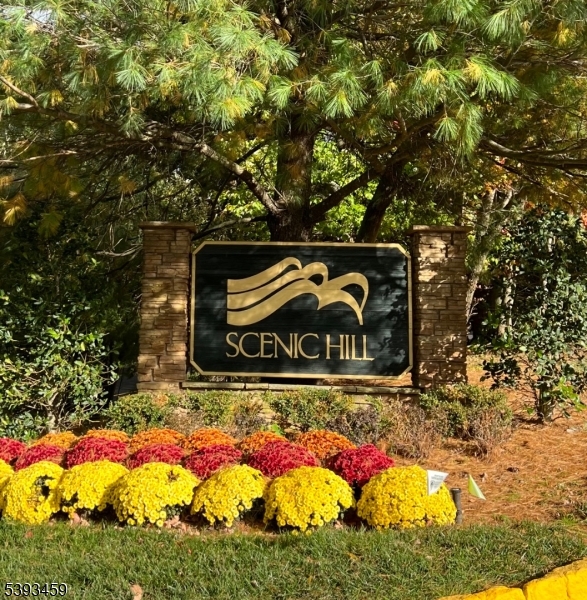 Scenic Hill
