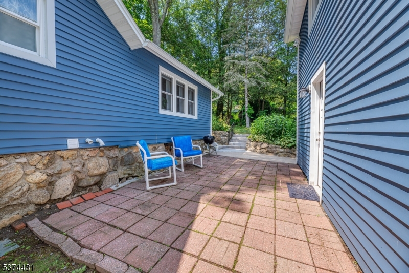 Patio between house & studio