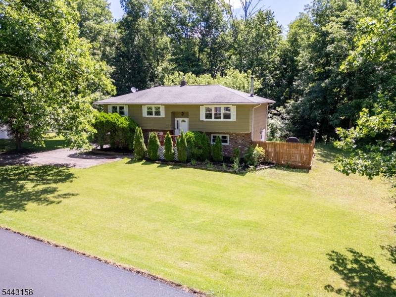 Drown view of side yard