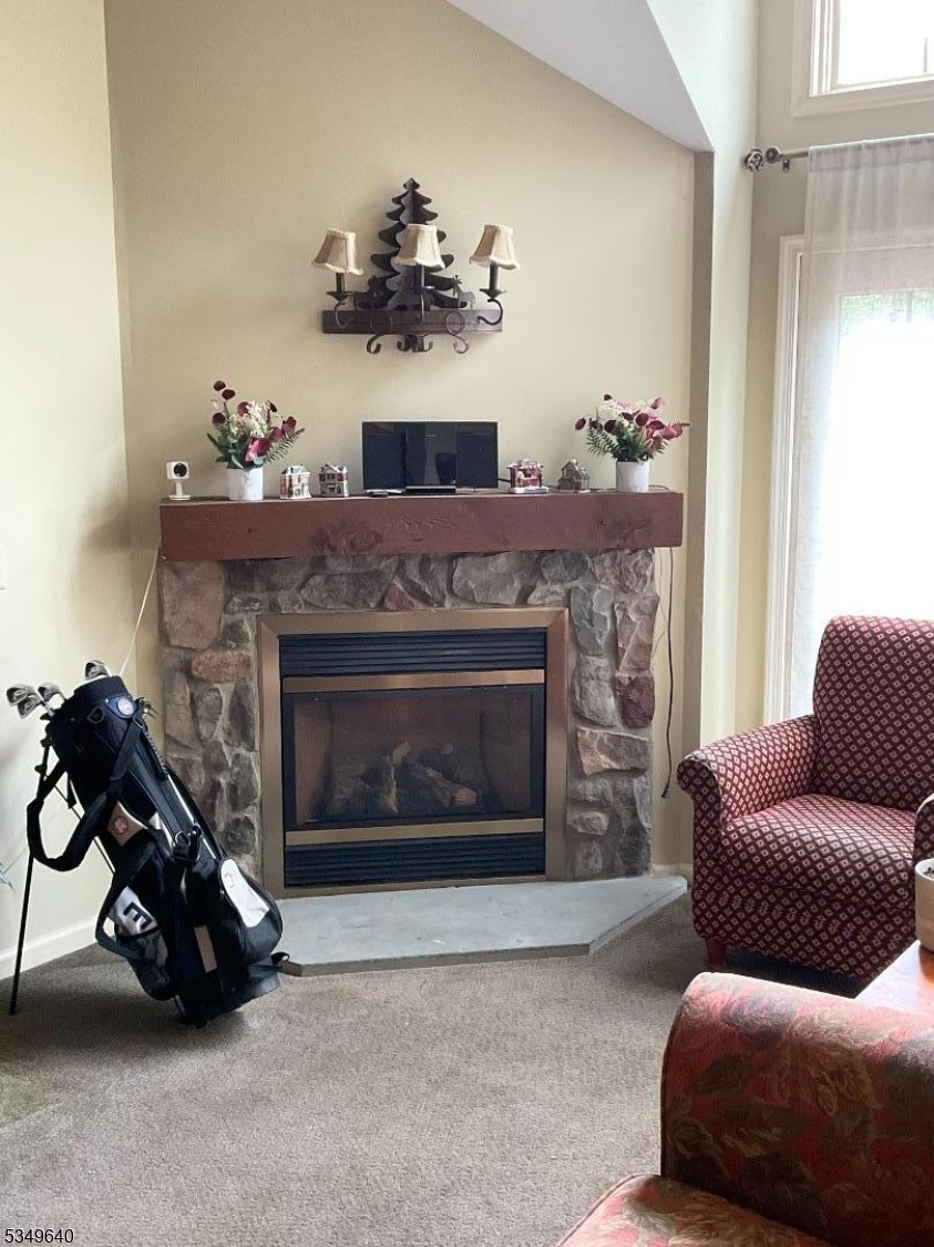 Gas Fireplace