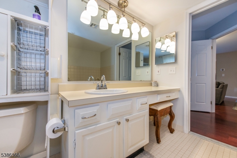 Primary Bathroom Vanity