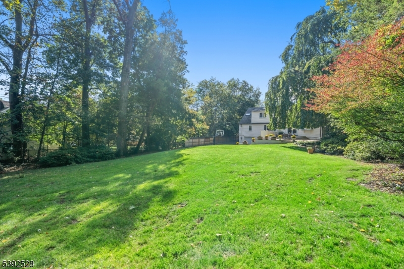 Backyard from the rear