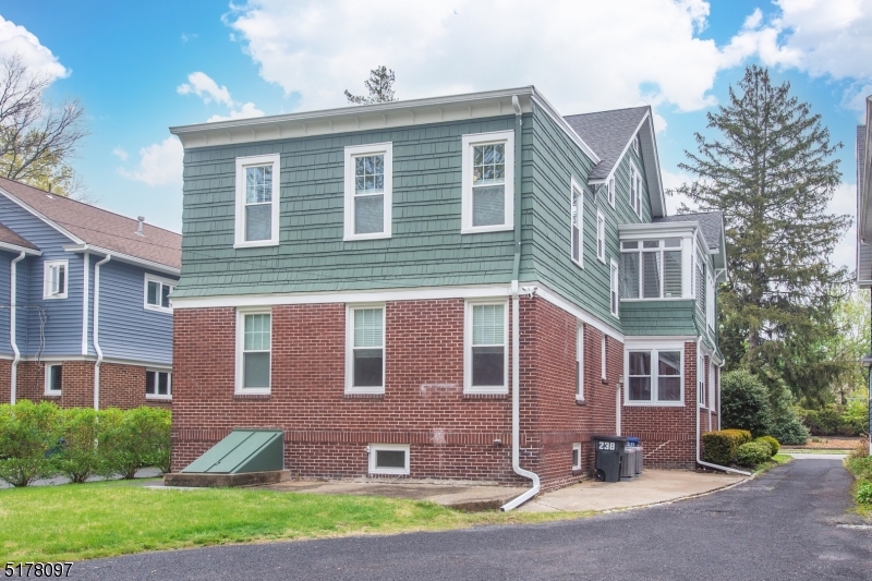 Easy to Care for Backyard