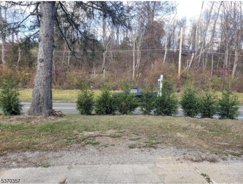 18 Newly planted 10'  trees