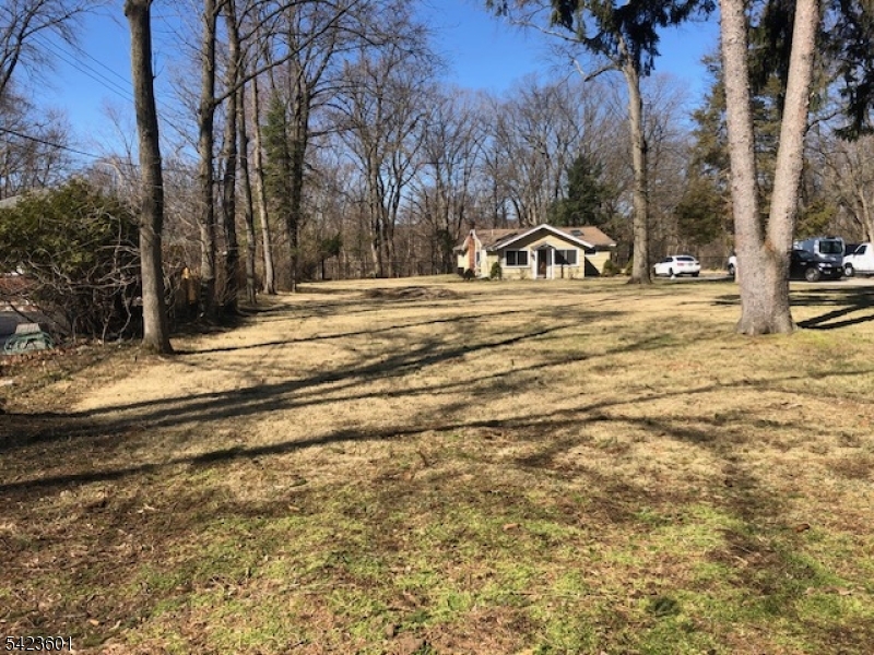 Front of home, large level property