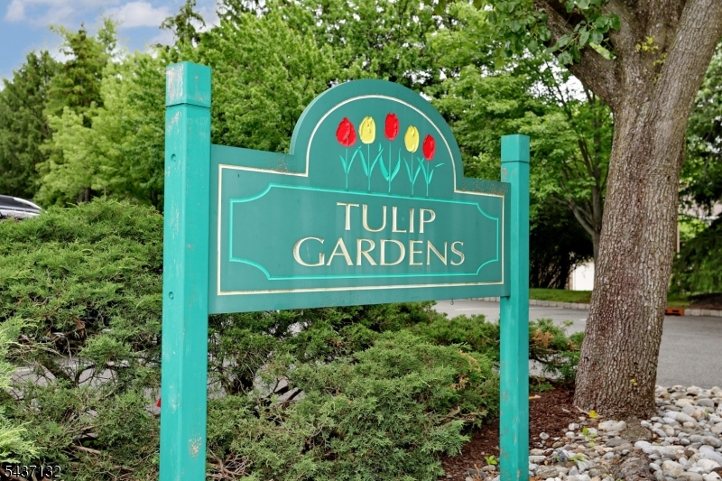 Welcome to Tulip Gardens