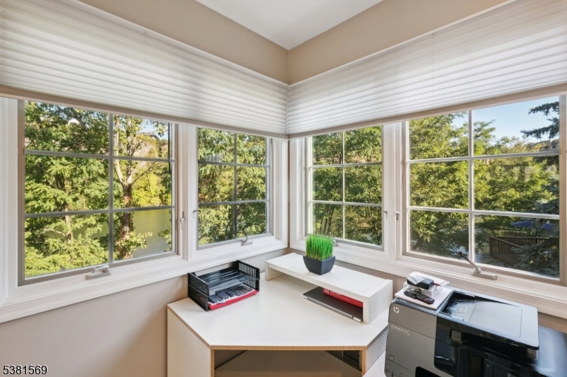 View from Office