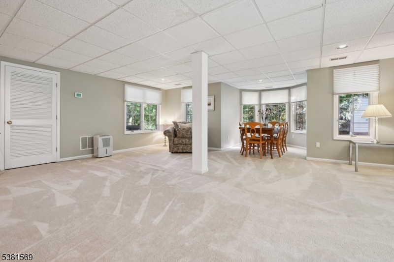 Finished Basement