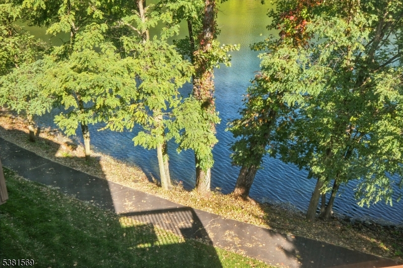 Walking Path