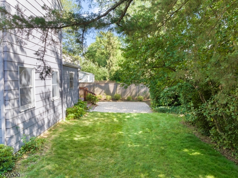 Sideyard