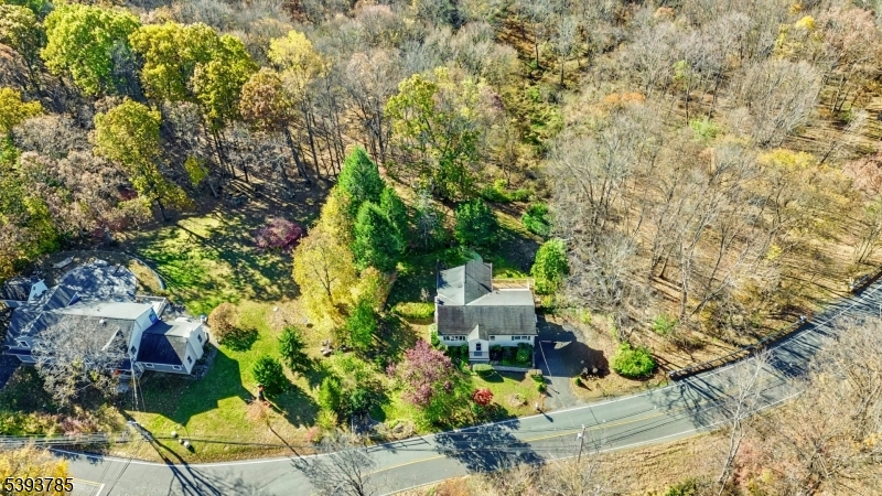 Large Yard  - Secluded