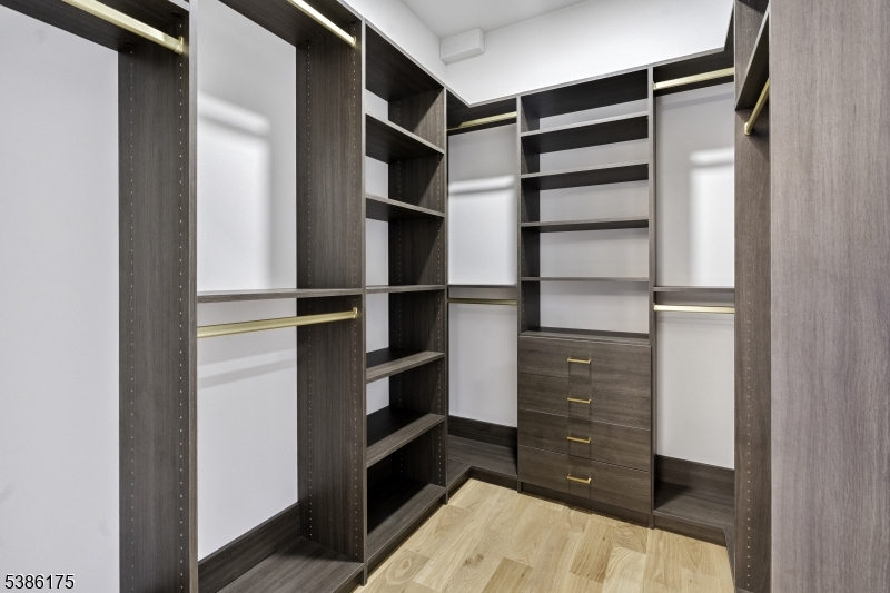 Walk In Closet 2