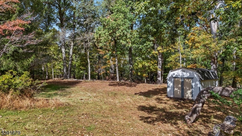 Rear Yard View from House Deep Yard Backing to 17+ Acres of Town Owned Land.