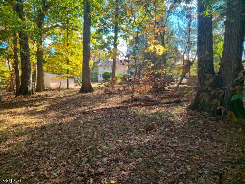 View from Back of Property